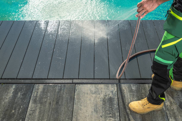 Best House Pressure Washing  in Waverly, IL